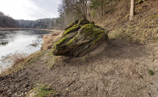 1_Ausiutiskiu konglometas.jpg